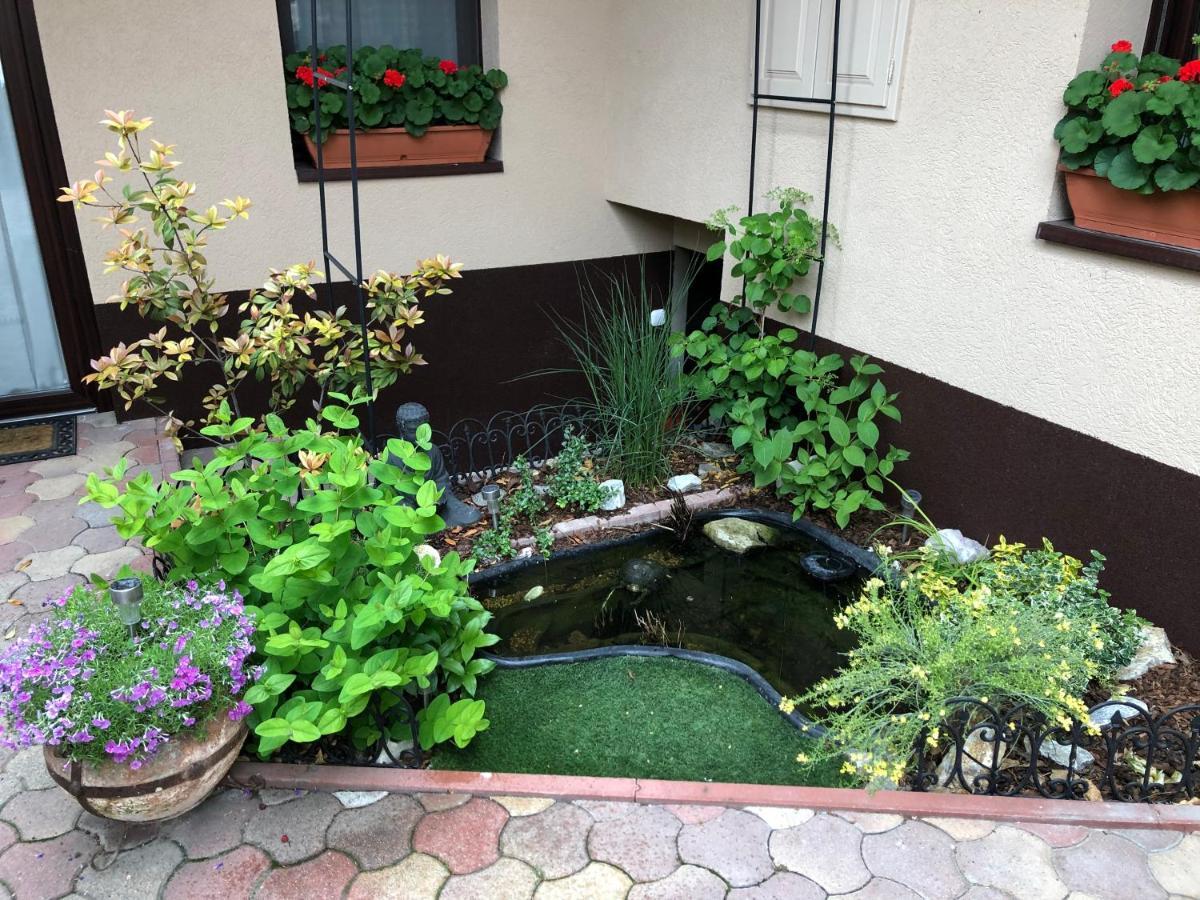 Milla Apartman Szentendre Zewnętrze zdjęcie